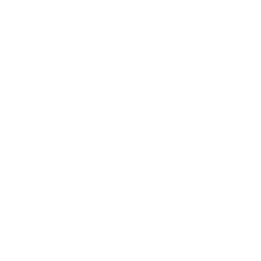 DLT Austria